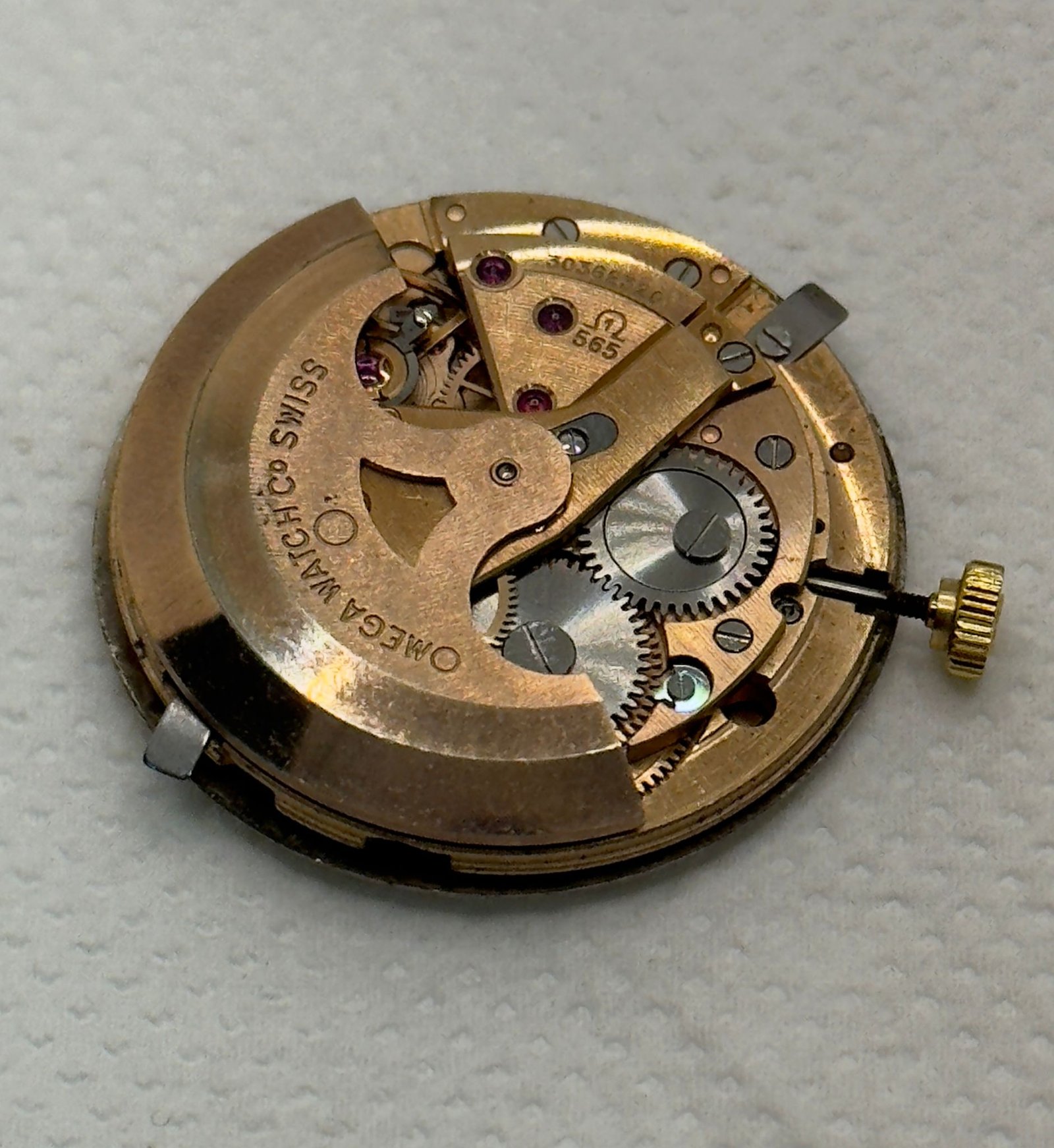 WhatsApp Image 2025-10-28 at 18.10.30 (1)