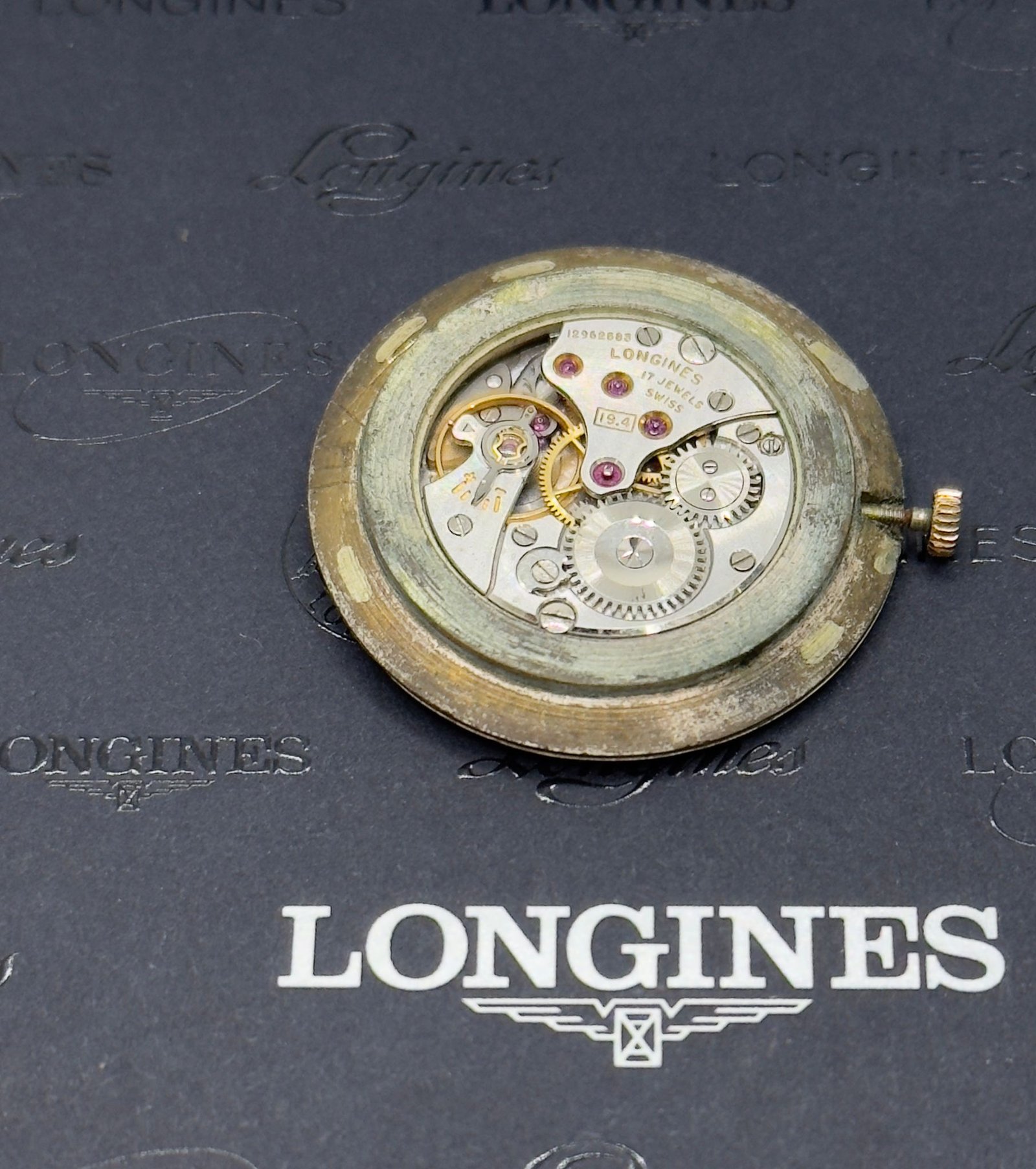 WhatsApp Image 2025-11-13 at 10.56.38 (1)