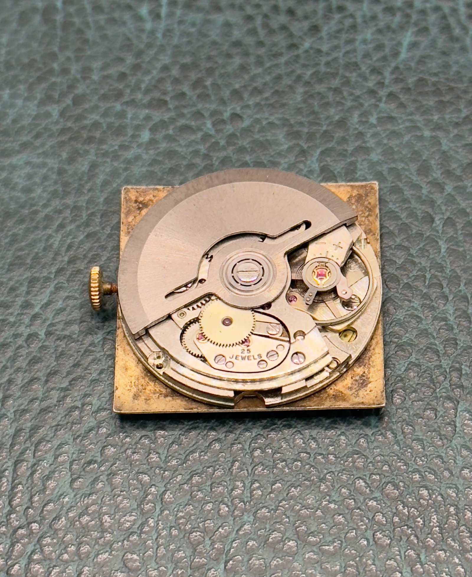 WhatsApp Image 2025-11-25 at 15.57.52 (1)