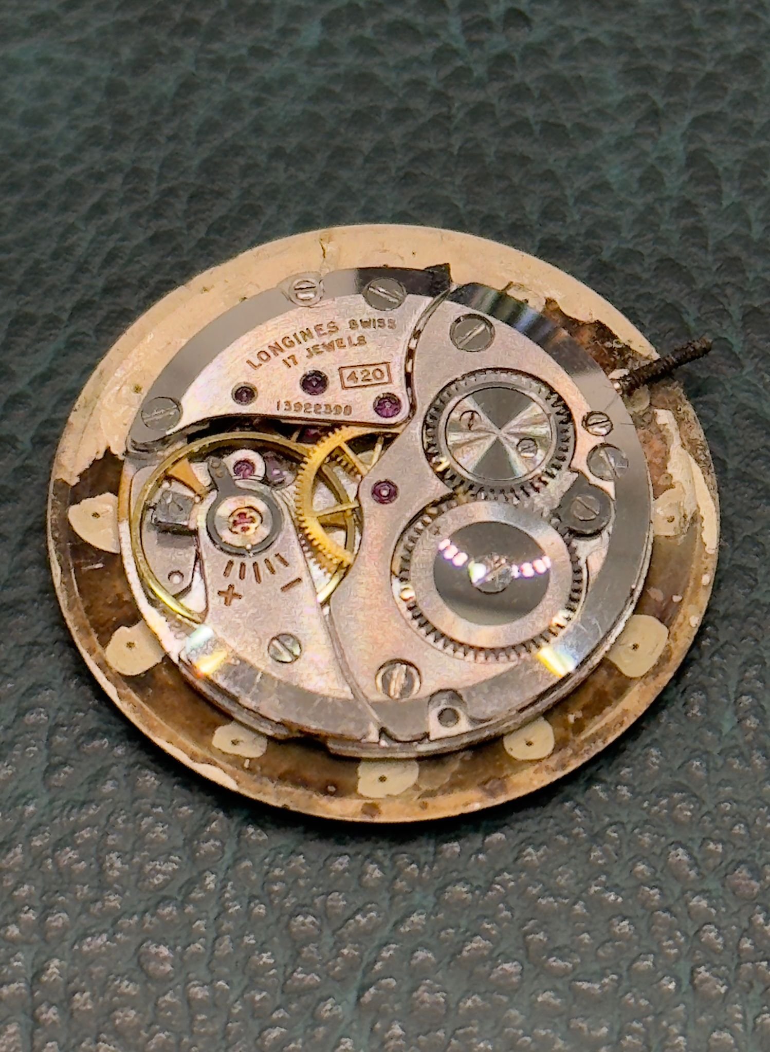 WhatsApp Image 2025-11-25 at 15.58.34 (2)