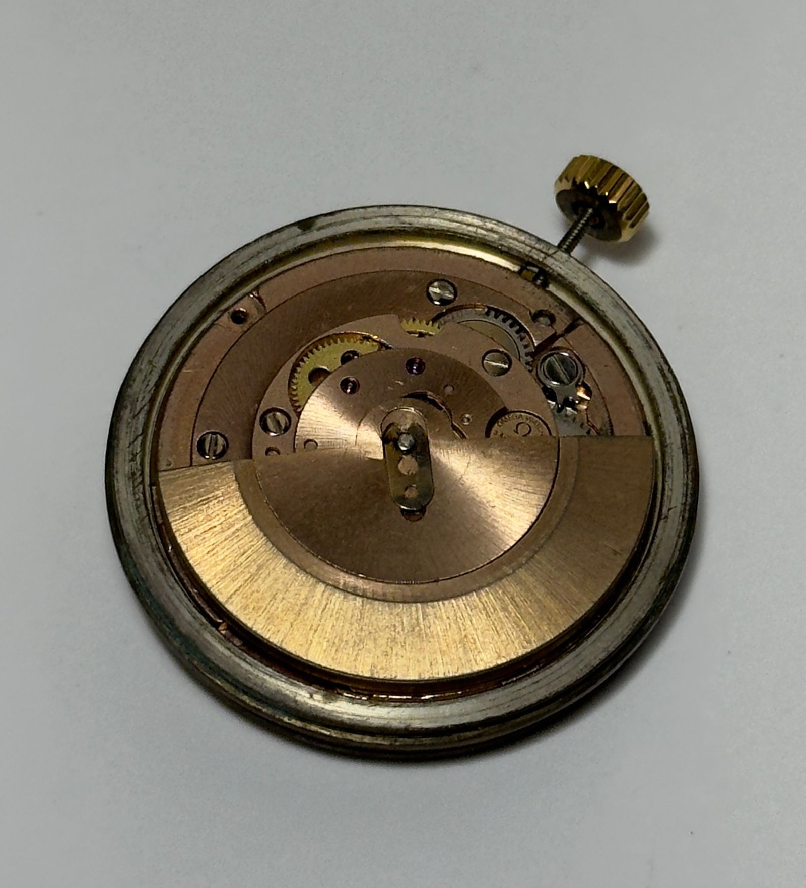 WhatsApp Image 2026-01-29 at 15.52.42 (1)