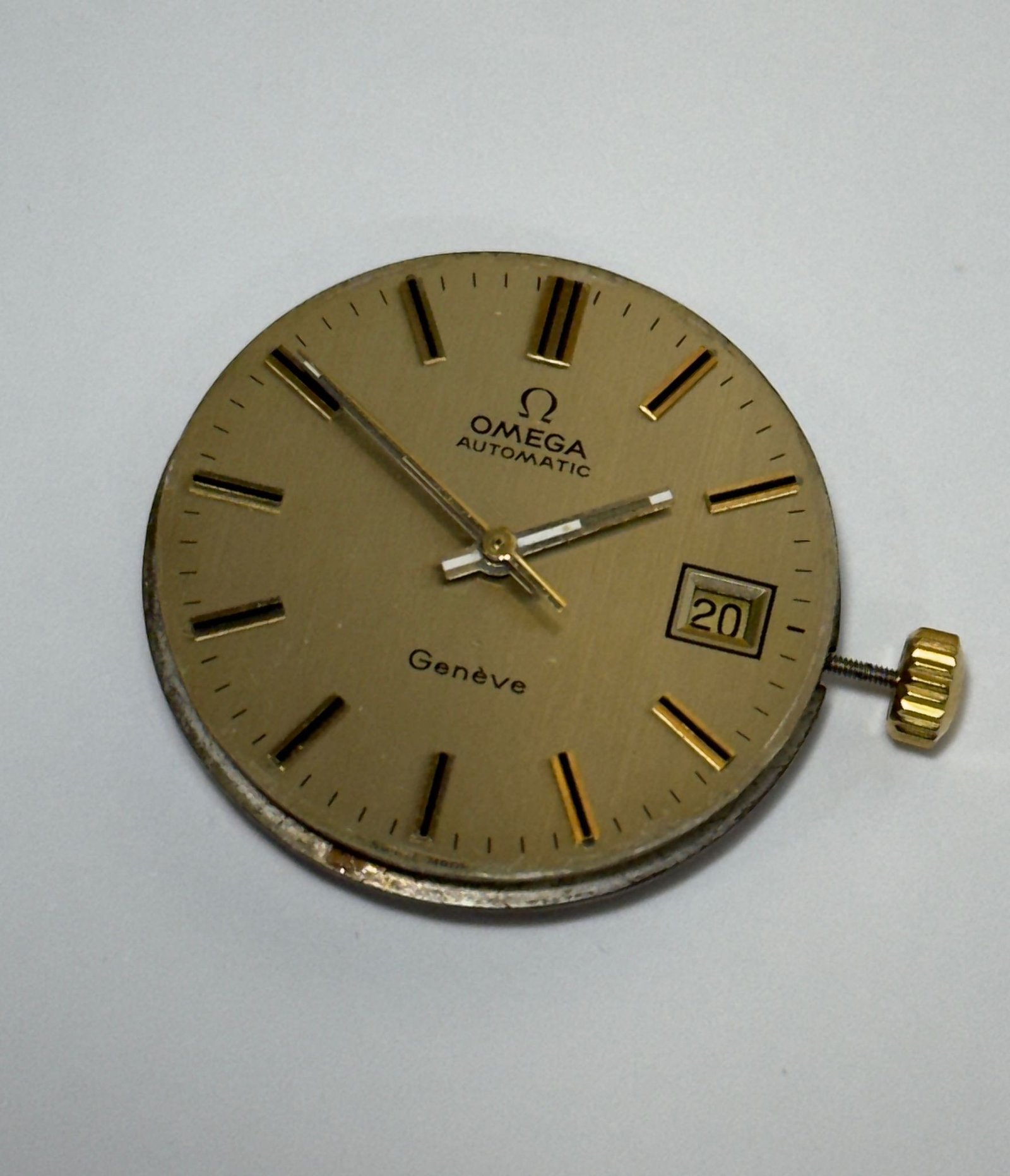 WhatsApp Image 2026-01-29 at 15.52.42